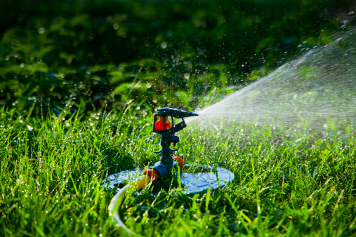 Expert Irrigation System Repair in Seffner FL Expert Irrigation System Repair in Seffner FL