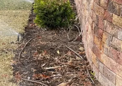 Exceptional Irrigation System Repair